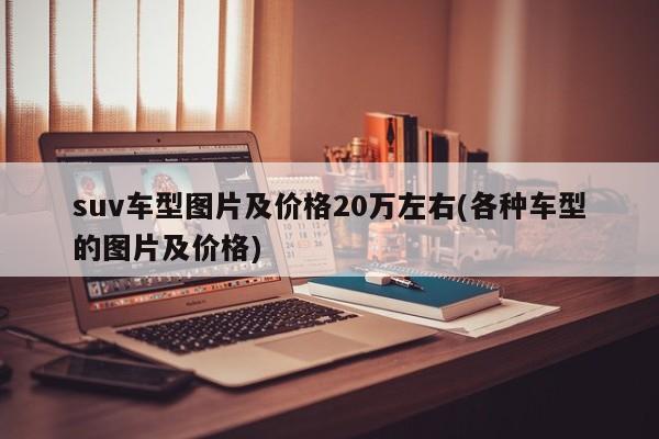 suv车型图片及价格20万左右(各种车型的图片及价格)