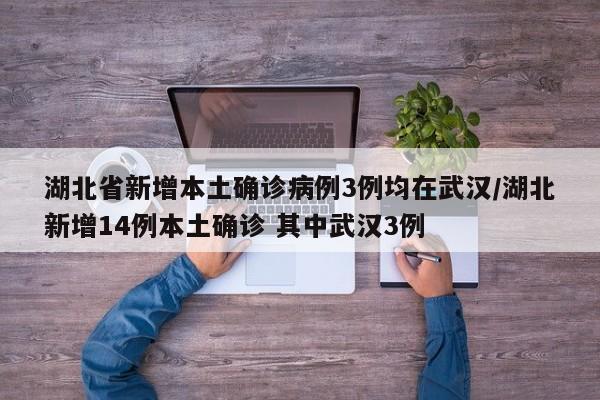 湖北省新增本土确诊病例3例均在武汉/湖北新增14例本土确诊 其中武汉3例